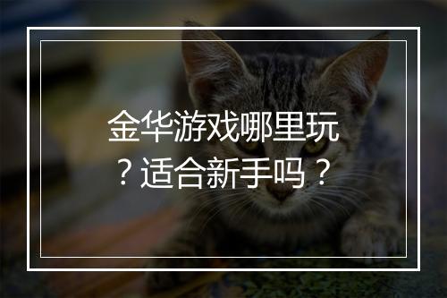 金华游戏哪里玩？适合新手吗？