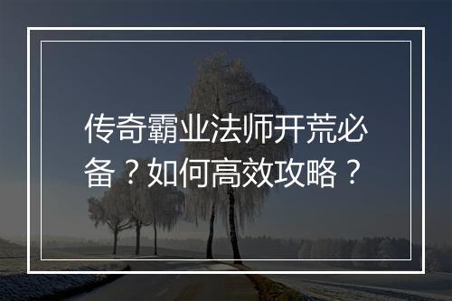 传奇霸业法师开荒必备？如何高效攻略？
