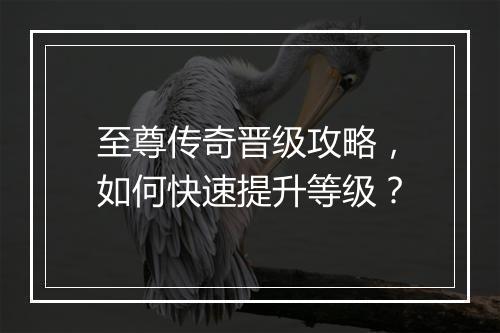 至尊传奇晋级攻略，如何快速提升等级？