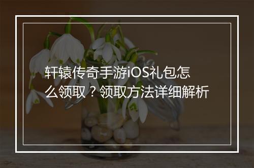 轩辕传奇手游iOS礼包怎么领取？领取方法详细解析