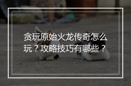 贪玩原始火龙传奇怎么玩？攻略技巧有哪些？