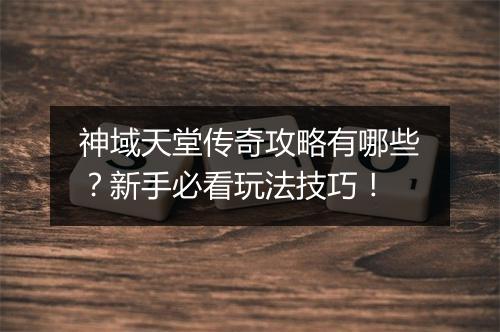 神域天堂传奇攻略有哪些？新手必看玩法技巧！