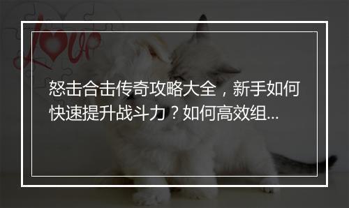怒击合击传奇攻略大全，新手如何快速提升战斗力？如何高效组队？