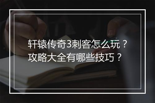 轩辕传奇3刺客怎么玩？攻略大全有哪些技巧？