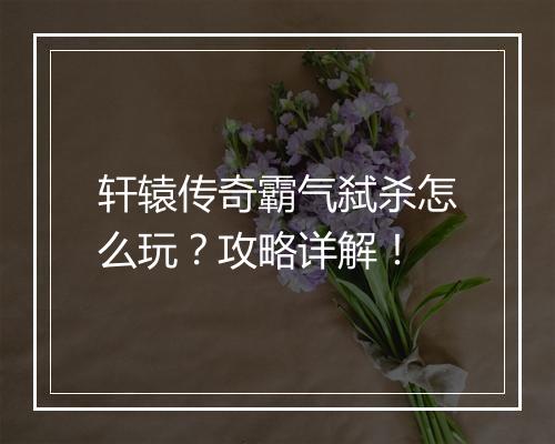 轩辕传奇霸气弑杀怎么玩？攻略详解！