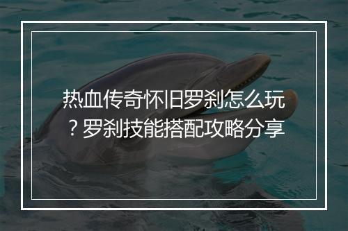 热血传奇怀旧罗刹怎么玩？罗刹技能搭配攻略分享