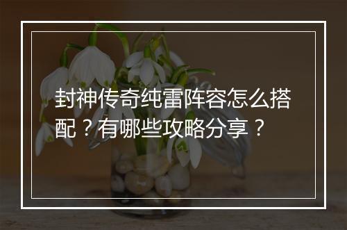 封神传奇纯雷阵容怎么搭配？有哪些攻略分享？