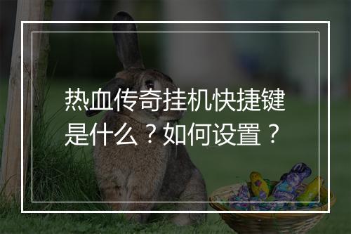 热血传奇挂机快捷键是什么？如何设置？