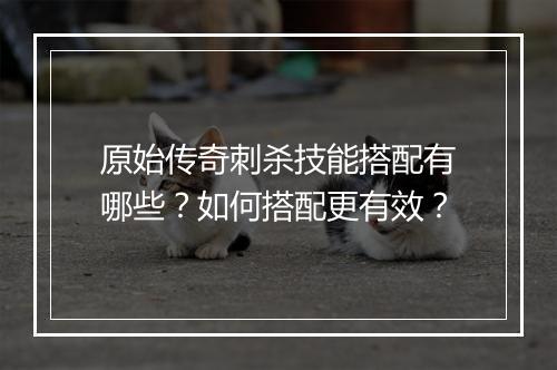 原始传奇刺杀技能搭配有哪些？如何搭配更有效？