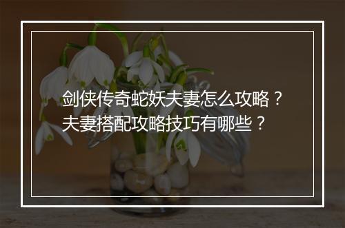 剑侠传奇蛇妖夫妻怎么攻略？夫妻搭配攻略技巧有哪些？