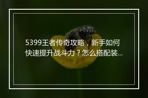 5399王者传奇攻略，新手如何快速提升战斗力？怎么搭配装备？