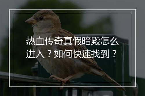 热血传奇真假暗殿怎么进入？如何快速找到？
