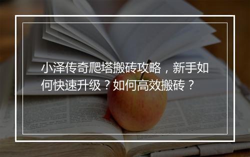 小泽传奇爬塔搬砖攻略，新手如何快速升级？如何高效搬砖？