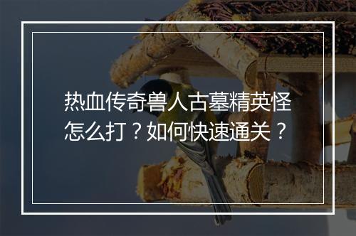 热血传奇兽人古墓精英怪怎么打？如何快速通关？