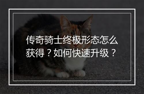 传奇骑士终极形态怎么获得？如何快速升级？