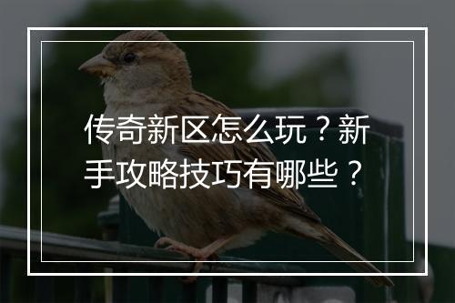 传奇新区怎么玩？新手攻略技巧有哪些？