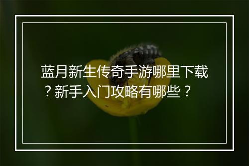 蓝月新生传奇手游哪里下载？新手入门攻略有哪些？