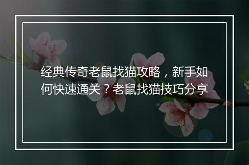 经典传奇老鼠找猫攻略，新手如何快速通关？老鼠找猫技巧分享