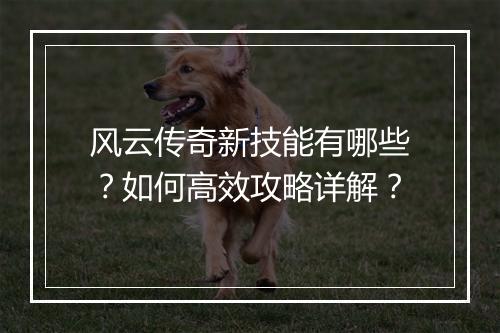 风云传奇新技能有哪些？如何高效攻略详解？