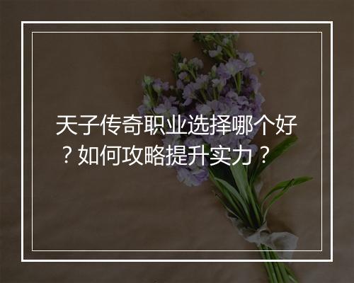 天子传奇职业选择哪个好？如何攻略提升实力？