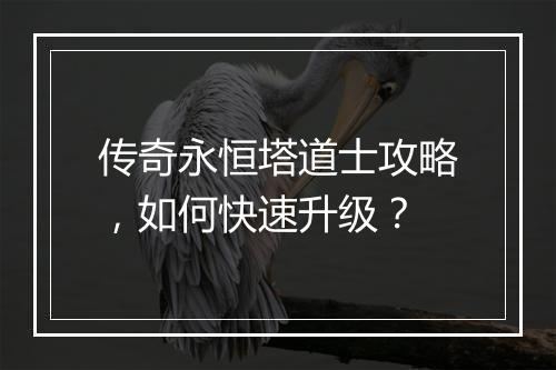 传奇永恒塔道士攻略,如何快速升级?