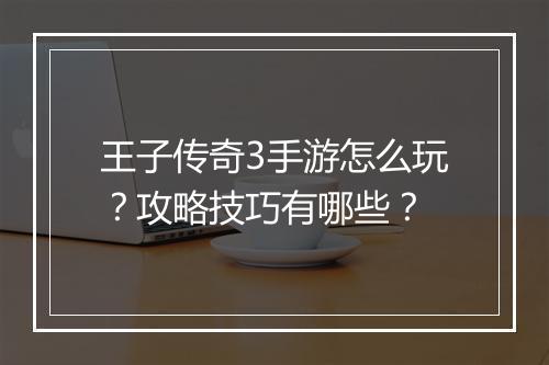 王子传奇3手游怎么玩？攻略技巧有哪些？
