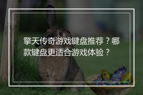 擎天传奇游戏键盘推荐？哪款键盘更适合游戏体验？