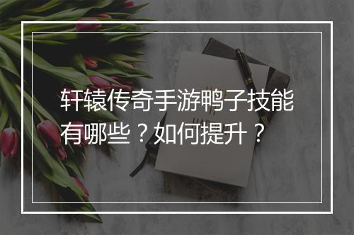 轩辕传奇手游鸭子技能有哪些？如何提升？