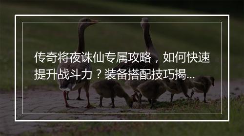 传奇将夜诛仙专属攻略，如何快速提升战斗力？装备搭配技巧揭秘