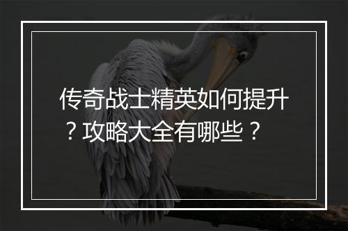 传奇战士精英如何提升？攻略大全有哪些？