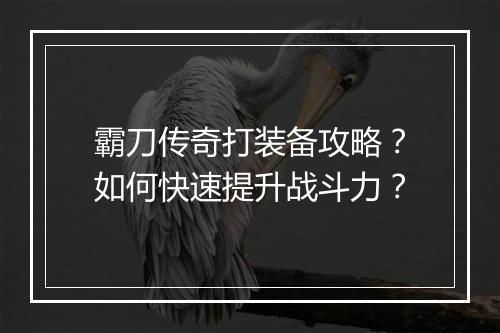 霸刀传奇打装备攻略？如何快速提升战斗力？