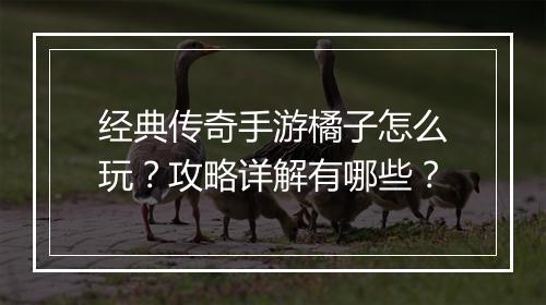 经典传奇手游橘子怎么玩？攻略详解有哪些？