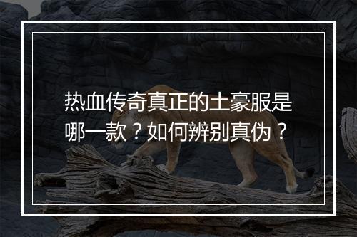热血传奇真正的土豪服是哪一款？如何辨别真伪？