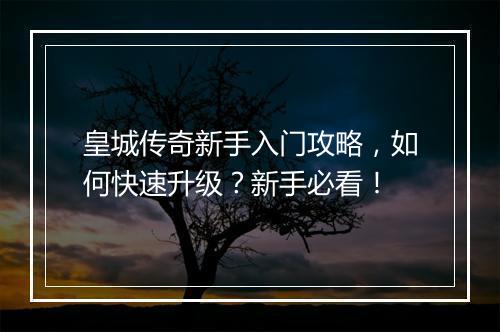 皇城传奇新手入门攻略，如何快速升级？新手必看！