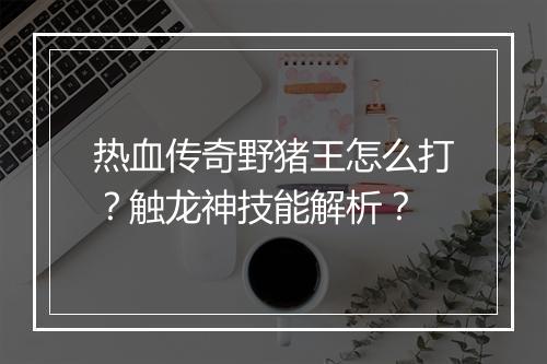 热血传奇野猪王怎么打？触龙神技能解析？