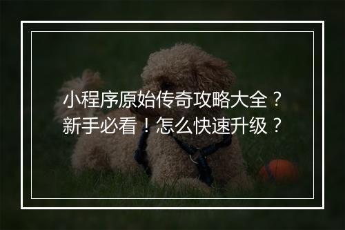 小程序原始传奇攻略大全？新手必看！怎么快速升级？
