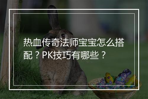 热血传奇法师宝宝怎么搭配？PK技巧有哪些？