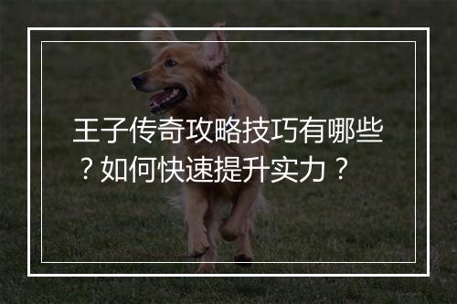 王子传奇攻略技巧有哪些？如何快速提升实力？