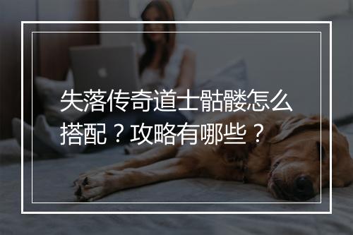 失落传奇道士骷髅怎么搭配？攻略有哪些？