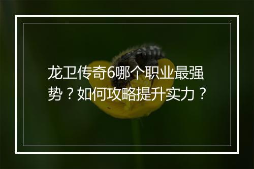 龙卫传奇6哪个职业最强势？如何攻略提升实力？