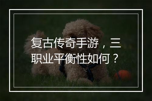 复古传奇手游，三职业平衡性如何？