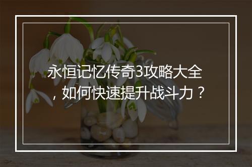 永恒记忆传奇3攻略大全，如何快速提升战斗力？