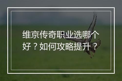 维京传奇职业选哪个好？如何攻略提升？