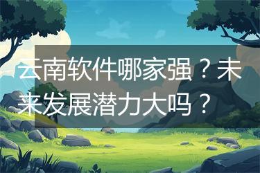 云南软件哪家强？未来发展潜力大吗？