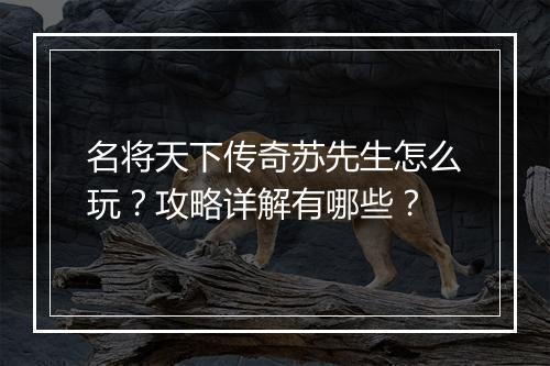 名将天下传奇苏先生怎么玩？攻略详解有哪些？