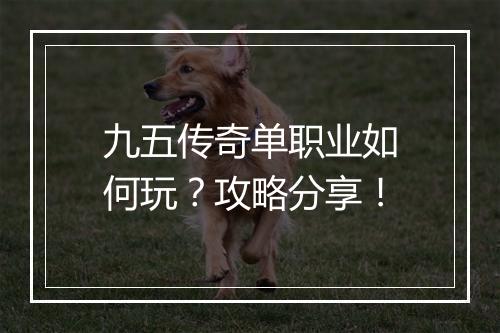 九五传奇单职业如何玩？攻略分享！