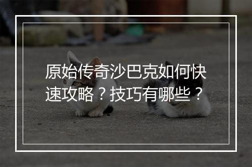 原始传奇沙巴克如何快速攻略？技巧有哪些？