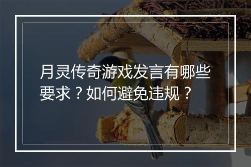 月灵传奇游戏发言有哪些要求？如何避免违规？