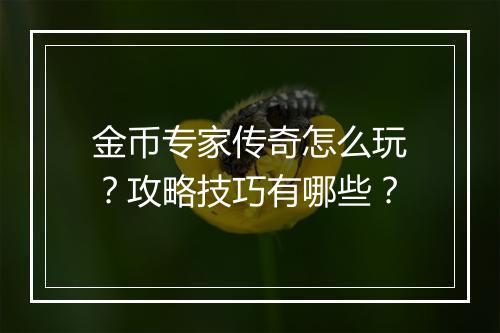 金币专家传奇怎么玩？攻略技巧有哪些？