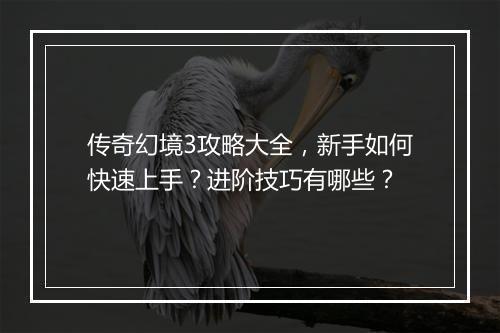 传奇幻境3攻略大全，新手如何快速上手？进阶技巧有哪些？
